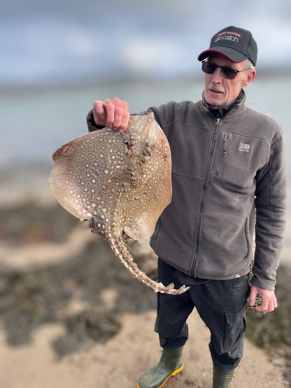 Thornback Ray Rigs Thornback Ray A Fascinating Marine Resident of North Wales – North ...